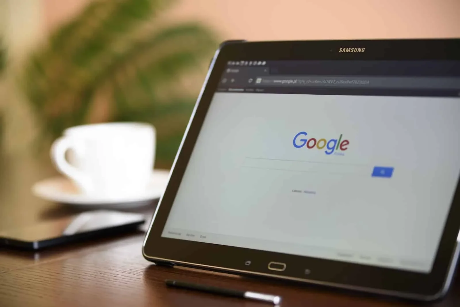 serp de google